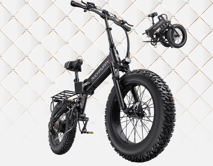 Hummingbirds Electric Bike