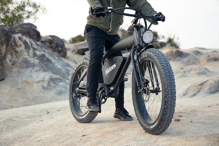 folding electric bike