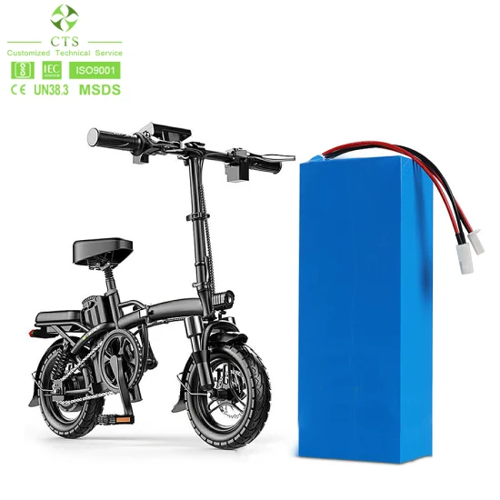 Can I Use A 24V 100Ah Battery On An Electric Bike  