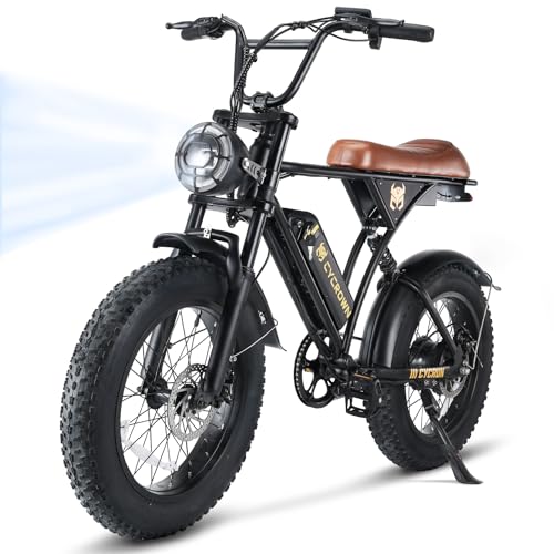 Best Class 1 Electric Bikes