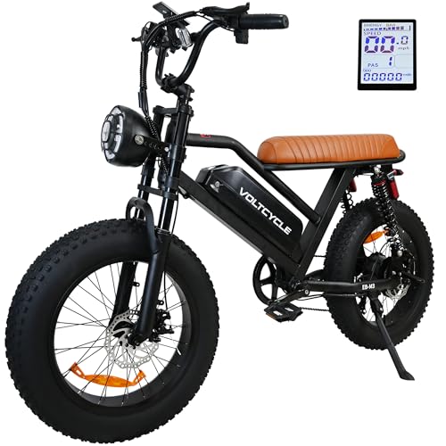 Best Electric Bike for Fat Person