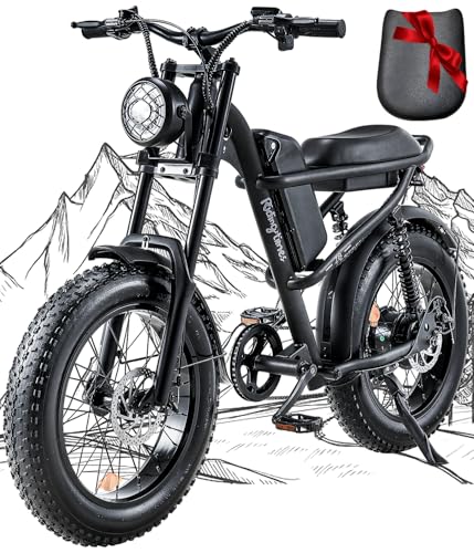 Best Electric Bike for Snow