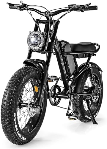 Best Electric Bike for Winter