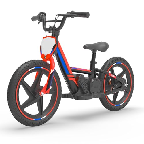 Best Electric Dirt Bike for Racing