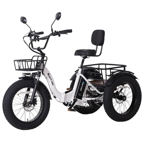 Best Electric Tricycle for Seniors