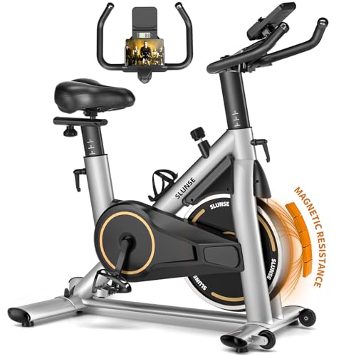 Best Exercise Bike under $300