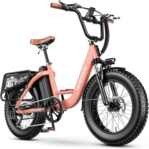 Best Fat Tire Electric Bike for Short Female