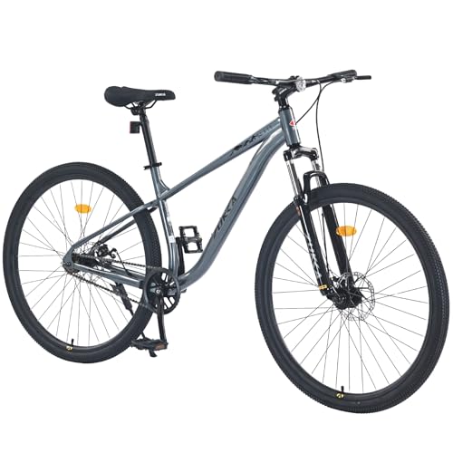 Best Single Speed Mountain Bike