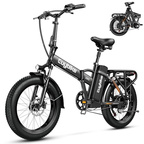 Class 3 Folding Electric Bike