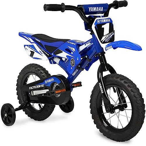 E Bikes That Look Like Motorcycles