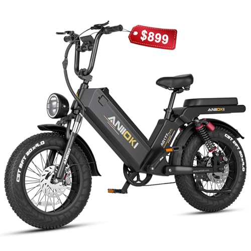 Ebikes With the Longest Range