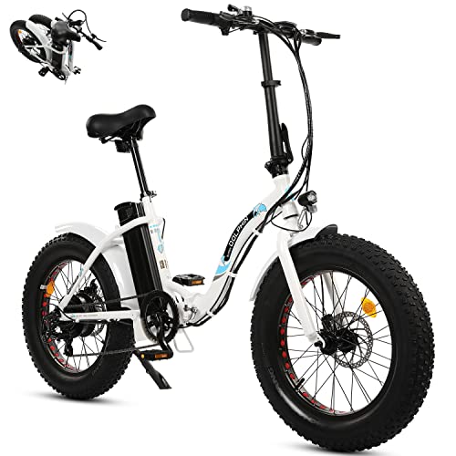 Ecotric Dolphin Folding Electric Bike