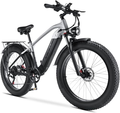 Electric Bicycle Pros And Cons