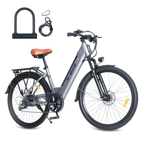 Electric Bike 350 Lb Capacity