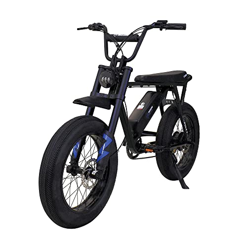 Electric Bike 350 Weight Capacity