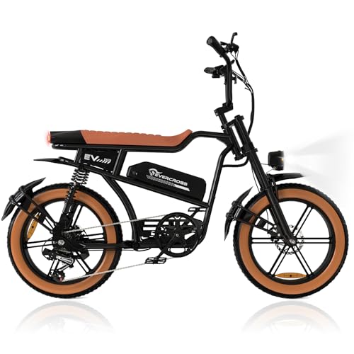 Electric Bike for Fat Person