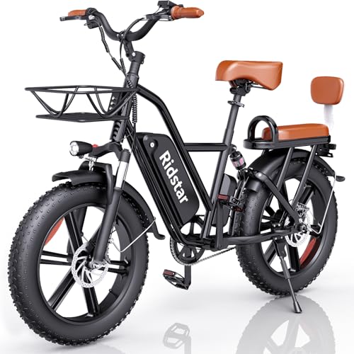 Electric Bike for Large Person