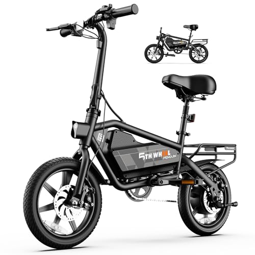 Electric Bike With Tag along