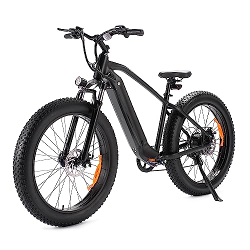 Electric Bikes With Throttle And Pedal Assist