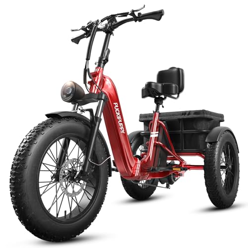 Electric Trike for 500 Lb Person