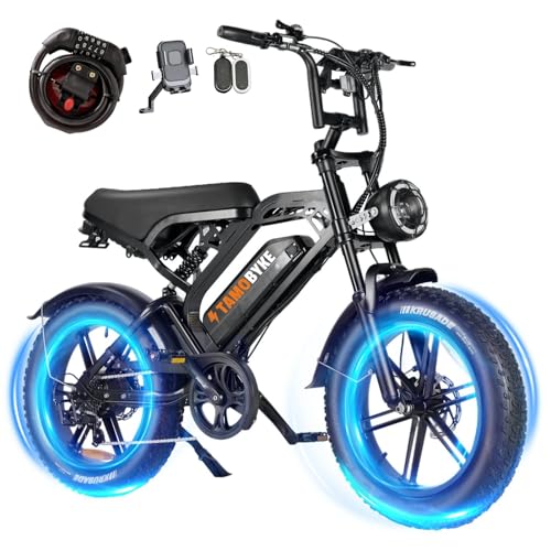 1500W Fat Tire Ebike