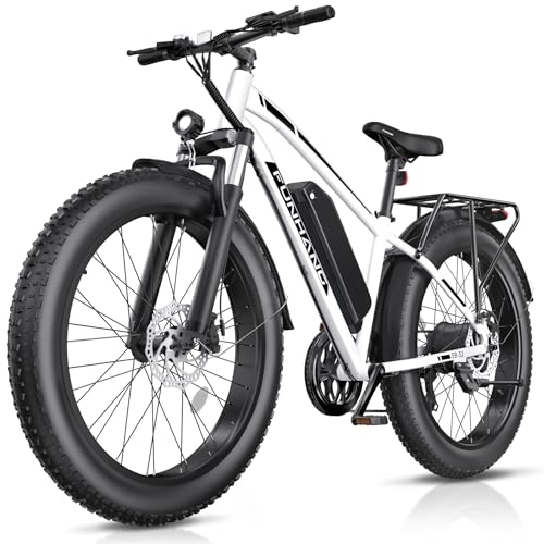 Funhang Electric Bike for Adults, Peak 1000W Ebike