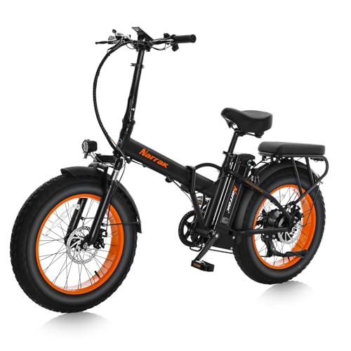 best electric bike for delivery sandwiches