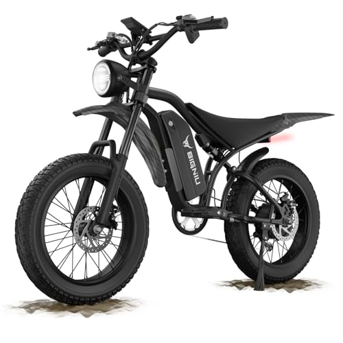 best electric bike for traffic-heavy cities