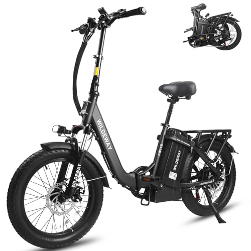 best electric bike for delivery sandwiches