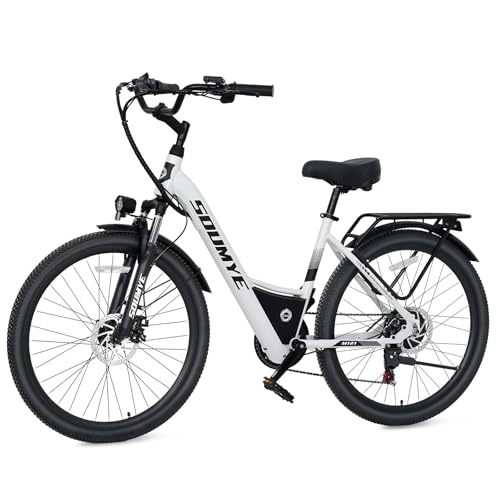 best electric bike for riders over 250 lbs