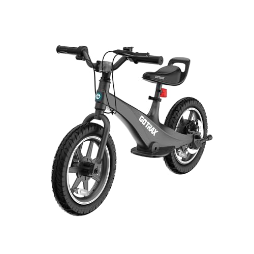 best electric bike for riders over 250 lbs