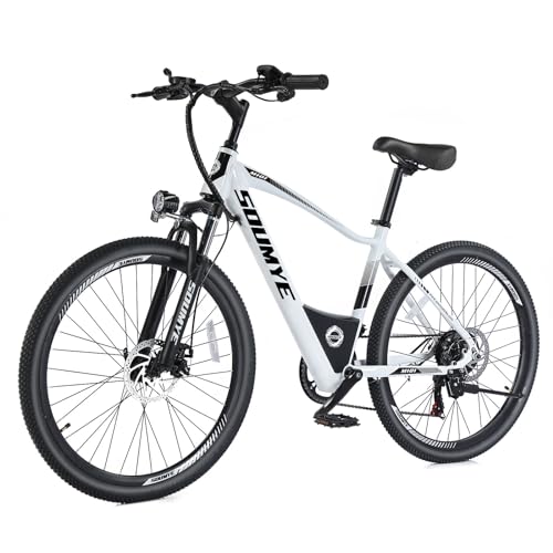 best electric bike for delivery sandwiches