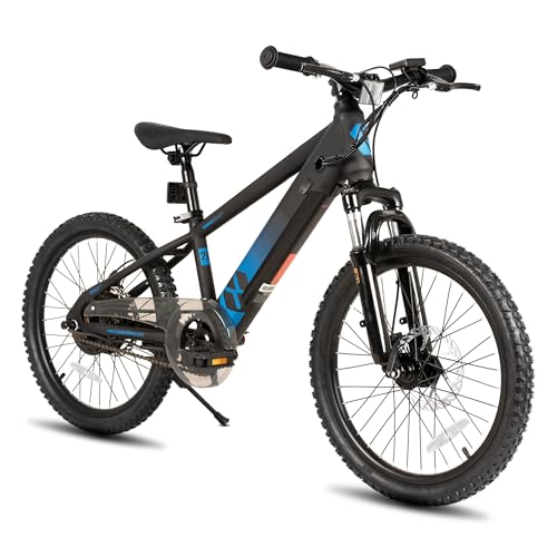 best electric bike for riders over 250 lbs