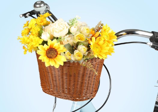 Best Looking Folding Bikes