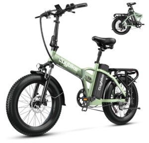 Bluebiko 80 Miles Long Range Folding Electric Bike