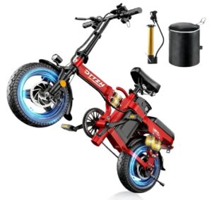 DTTZH Long Range Folding Electric Bike