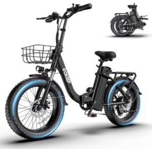 GOKEEP 1300W Folding Electric Bike