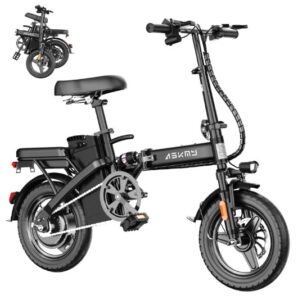RPINT Folding Electric Bike for Adults & Teens