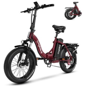 Kebiko Folding Fat Tire Electric Bike