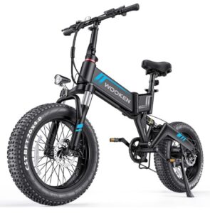 Wooken Fat Tire Electric Bike for Adults